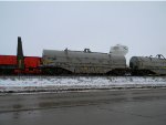 CN 187034 is new to RRPA!